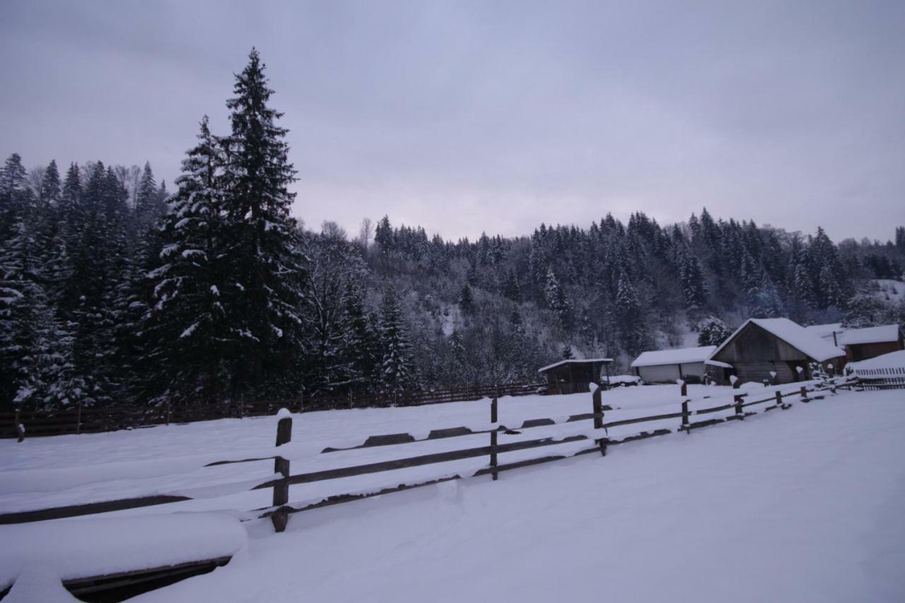 Ozdoba Verkhovyna Exterior foto