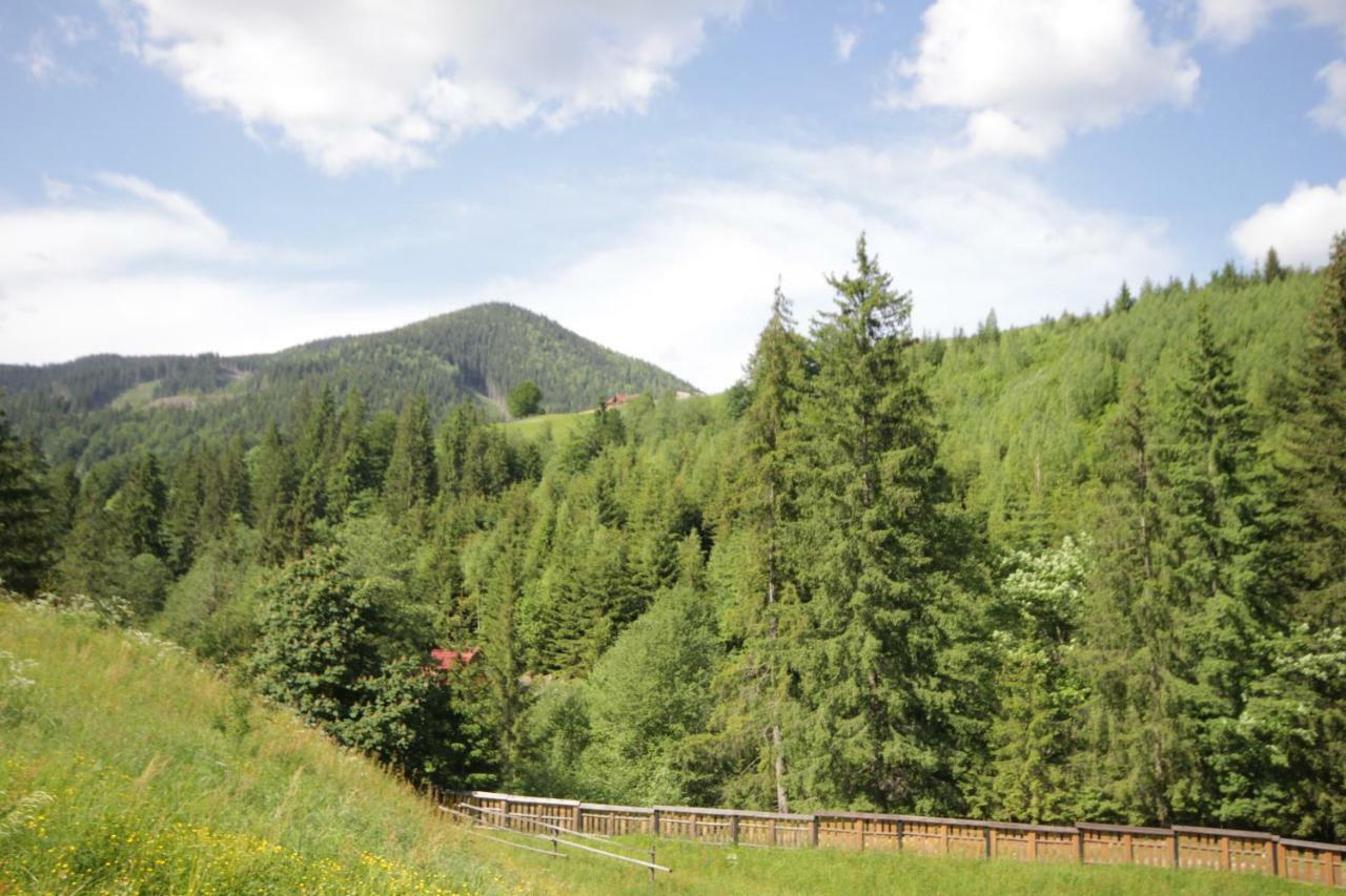Ozdoba Verkhovyna Exterior foto